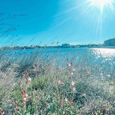 La Casita ,Appartement Face A L'Etang Le Barcarès المظهر الخارجي الصورة