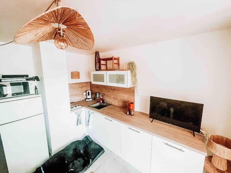La Casita ,Appartement Face A L'Etang Le Barcarès المظهر الخارجي الصورة