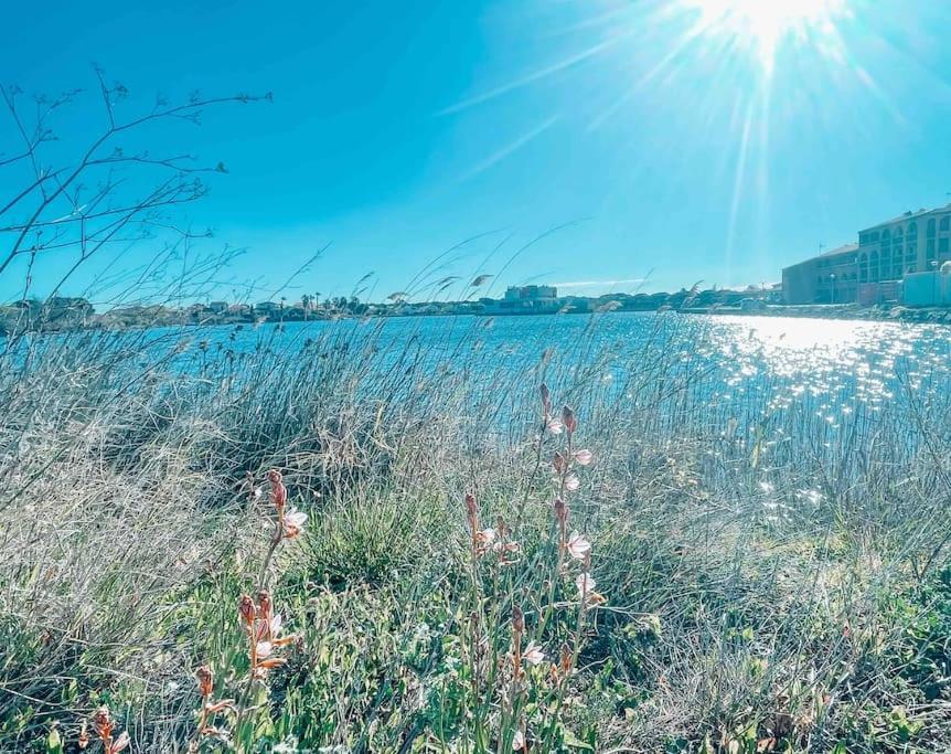La Casita ,Appartement Face A L'Etang Le Barcarès المظهر الخارجي الصورة